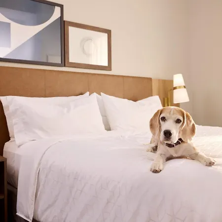 Staybridge Suites Liverpool By Ihg-2